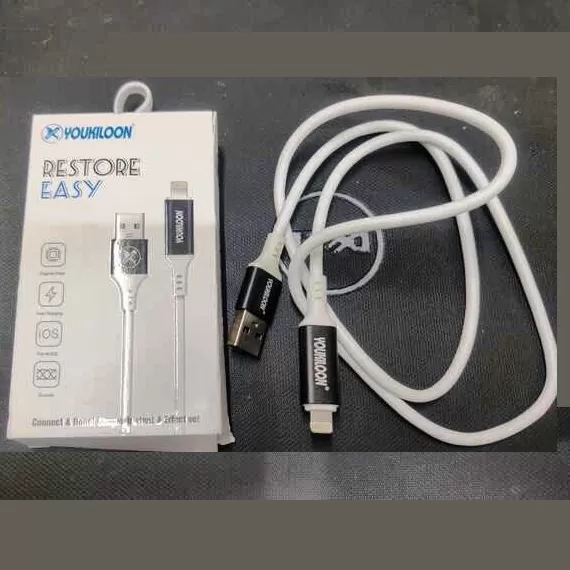 Easy Restore Cable For iPhone Flashing Auto Download Mode - Youkiloon