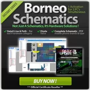 borneo2
